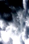 <img100*0:stuff/z/73640/sky%2520reference.6/i1277858309_1.jpg>
