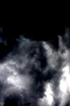<img100*0:stuff/z/73640/sky%2520reference.6/i1277858310_3.jpg>