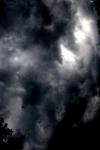 <img100*0:stuff/z/73640/sky%2520reference.6/i1277858310_4.jpg>
