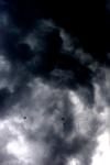 <img100*0:stuff/z/73640/sky%2520reference.6/i1277858311_6.jpg>