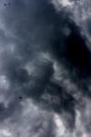 <img100*0:stuff/z/73640/sky%2520reference.6/i1277858313_8.jpg>