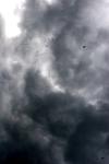 <img100*0:stuff/z/73640/sky%2520reference.6/i1277858314_9.jpg>