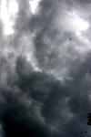 <img100*0:stuff/z/73640/sky%2520reference.6/i1277858315_11.jpg>