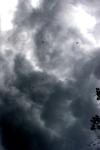 <img100*0:stuff/z/73640/sky%2520reference.6/i1277858316_13.jpg>