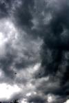 <img100*0:stuff/z/73640/sky%2520reference.6/i1277858316_14.jpg>