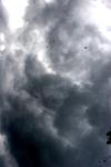 <img100*0:stuff/z/73640/sky%2520reference.6/i1277858316_15.jpg>