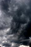 <img100*0:stuff/z/73640/sky%2520reference.6/i1277858316_16.jpg>