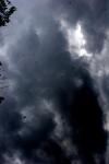 <img100*0:stuff/z/73640/sky%2520reference.6/i1277858317_17.jpg>