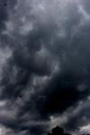 <img100*0:stuff/z/73640/sky%2520reference.6/i1277858317_18.jpg>