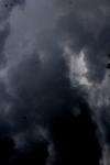 <img100*0:stuff/z/73640/sky%2520reference.6/i1277858318_19.jpg>