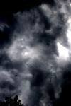 <img100*0:stuff/z/73640/sky%2520reference.6/i1277858318_20.jpg>