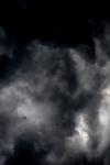 <img100*0:stuff/z/73640/sky%2520reference.6/i1277858319_21.jpg>