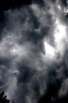 <img100*0:stuff/z/73640/sky%2520reference.6/i1277858320_22.jpg>