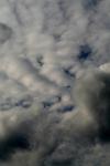 <img100*0:stuff/z/73640/sky%2520reference/i1257743642_4.jpg>