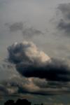 <img100*0:stuff/z/73640/sky%2520reference/i1257743644_18.jpg>