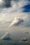 <img100*0:stuff/z/73640/sky%2520reference/i1257743645_27.jpg>