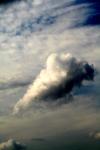 <img100*0:stuff/z/73640/sky%2520reference/i1257743645_33.jpg>
