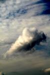 <img100*0:stuff/z/73640/sky%2520reference/i1257743646_39.jpg>