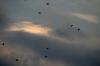 <img100*0:stuff/z/73640/sky%2520reference/i1257800957_12.jpg>