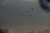 <img100*0:stuff/z/73640/sky%2520reference/i1257800957_15.jpg>