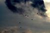 <img100*0:stuff/z/73640/sky%2520reference/i1257800957_18.jpg>