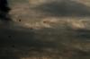<img100*0:stuff/z/73640/sky%2520reference/i1257800957_21.jpg>