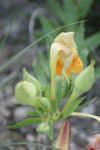 <img100*0:stuff/z/73640/spring%2520upload%25202/i1264651105_30.jpg>