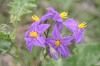 <img100*0:stuff/z/73640/spring%2520upload%25202/i1264651106_33.jpg>