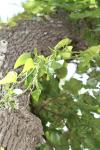<img100*0:stuff/z/73640/spring%2520upload%25202/i1264709877_10.jpg>