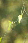 <img100*0:stuff/z/73640/spring%2520upload%25202/i1264709878_14.jpg>