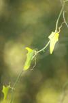 <img100*0:stuff/z/73640/spring%2520upload%25202/i1264709878_17.jpg>