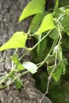 <img100*0:stuff/z/73640/spring%2520upload%25202/i1264709878_19.jpg>