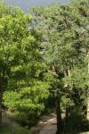 <img100*0:stuff/z/73640/spring%2520upload%25202/i1264711129_1.jpg>