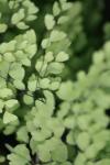 <img100*0:stuff/z/73640/spring%2520upload%25202/i1264711129_2.jpg>