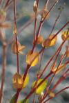 <img100*0:stuff/z/73640/spring%2520upload%25202/i1264711130_10.jpg>