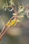 <img100*0:stuff/z/73640/spring%2520upload%25202/i1264711130_11.jpg>