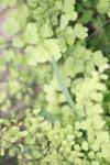 <img100*0:stuff/z/73640/spring%2520upload%25202/i1264711130_12.jpg>