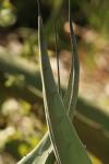 <img100*0:stuff/z/73640/spring%2520upload%25202/i1264711130_13.jpg>