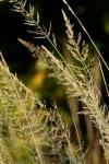 <img100*0:stuff/z/73640/spring%2520upload%25202/i1264711130_16.jpg>