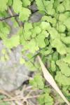 <img100*0:stuff/z/73640/spring%2520upload%25202/i1264711130_17.jpg>