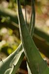 <img100*0:stuff/z/73640/spring%2520upload%25202/i1264711130_18.jpg>