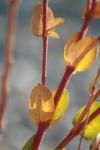 <img100*0:stuff/z/73640/spring%2520upload%25202/i1264711130_20.jpg>