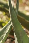 <img100*0:stuff/z/73640/spring%2520upload%25202/i1264711130_23.jpg>