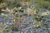 <img100*0:stuff/z/73640/spring%2520upload%25202/i1264711130_25.jpg>