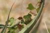 <img100*0:stuff/z/73640/spring%2520upload%25202/i1264711130_27.jpg>