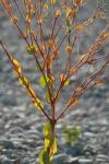 <img100*0:stuff/z/73640/spring%2520upload%25202/i1264711130_28.jpg>