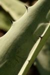 <img100*0:stuff/z/73640/spring%2520upload%25202/i1264711130_3.jpg>