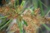 <img100*0:stuff/z/73640/spring%2520upload%25202/i1264711130_31.jpg>