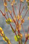 <img100*0:stuff/z/73640/spring%2520upload%25202/i1264711130_5.jpg>