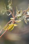 <img100*0:stuff/z/73640/spring%2520upload%25202/i1264711130_6.jpg>